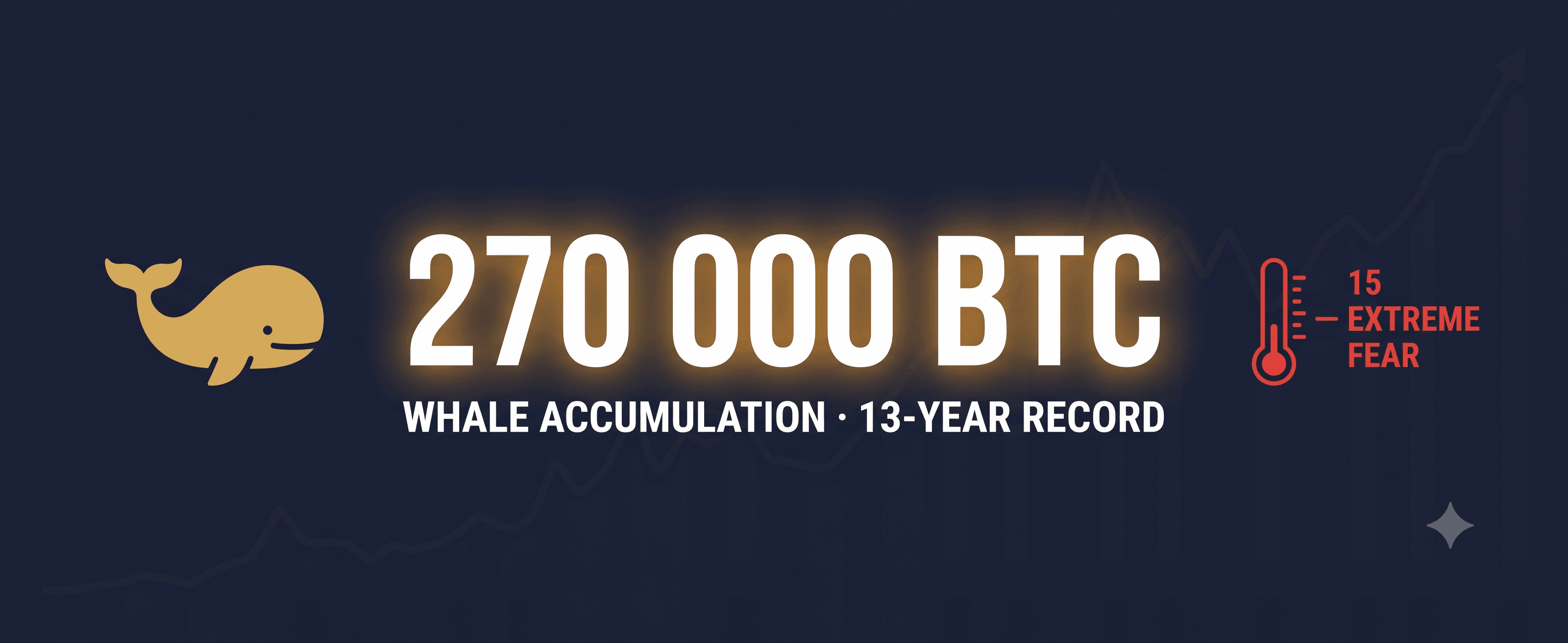 Whales Bought 270,000 BTC: Largest Accumulation in 13 Years as Market Panics