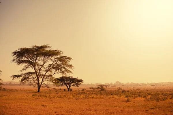 Africa Overtakes Latin America to Lead the World in P2P Bitcoin Trading